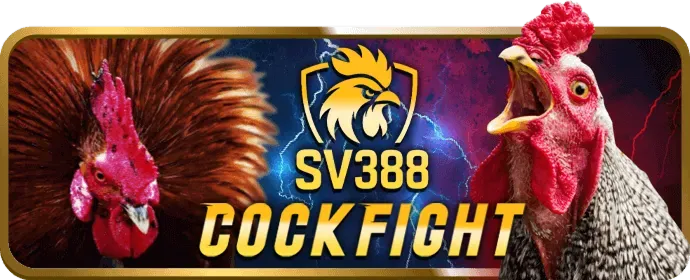 Bảo Mật Tối Ưu VIPVIN